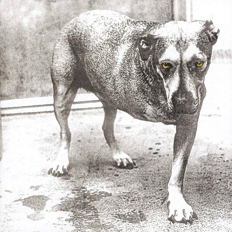 Alice In Chains - Self Titled